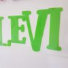Name Plaque – Levi